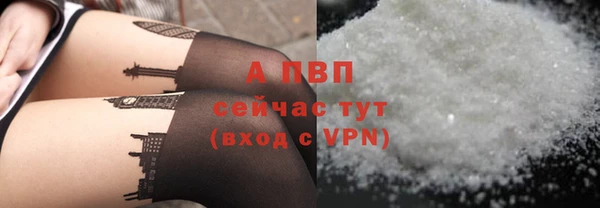 трава Арсеньев