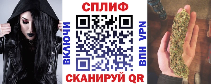 omg как войти  Чадан  МАРИХУАНА Amnesia 